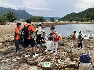 探寻体育器材棚子的秘密，探寻体育器材棚子的秘密作文